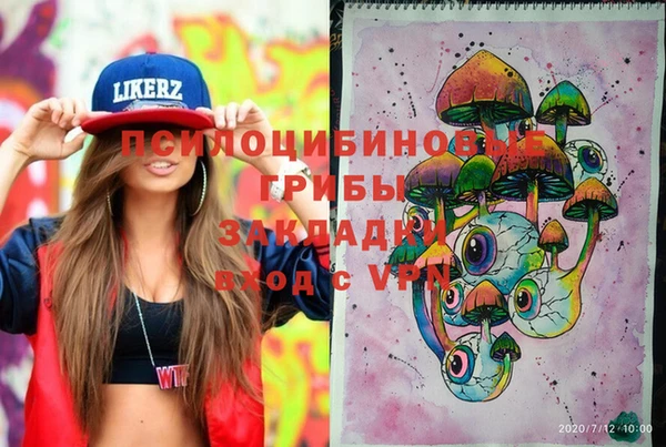 ГАЛЛЮЦИНОГЕННЫЕ ГРИБЫ Алзамай
