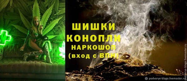 ГАЛЛЮЦИНОГЕННЫЕ ГРИБЫ Алзамай