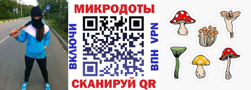 Галлюциногенные грибы ЛСД  даркнет какой сайт  Зарайск 