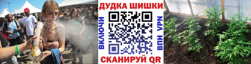 мориарти телеграм  Зарайск  Бошки Шишки тримм  kraken tor 